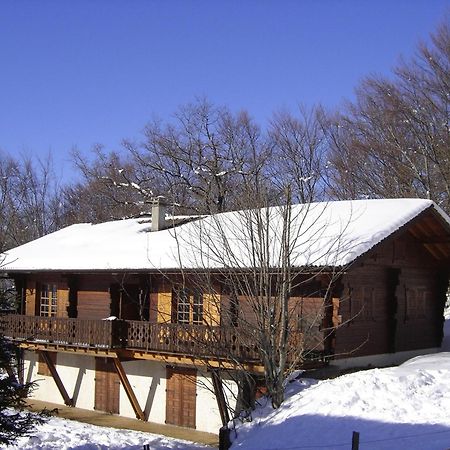 Appartement Chalet Renove 6 Pers Avec Terrasse Proche Evian, Ski Et Randonnee - Fr-1-498-29 Saint-Paul-en-Chablais ภายนอก รูปภาพ